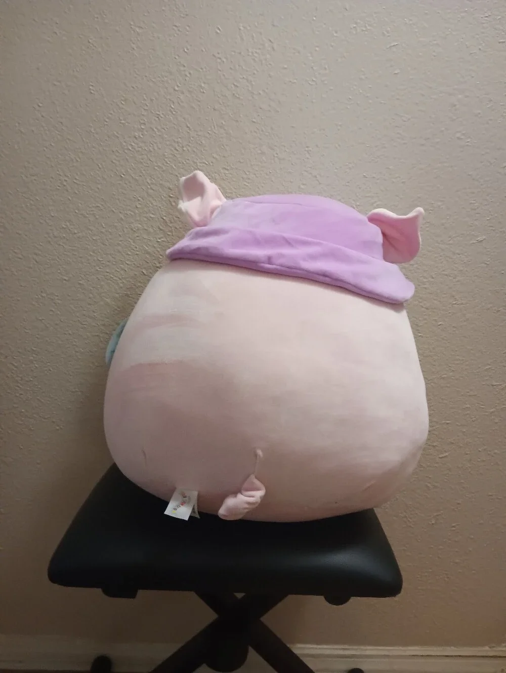 Squishmallow Peter the Pig 16